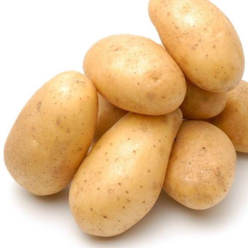 恩施玉露:一缕青翠的茶香